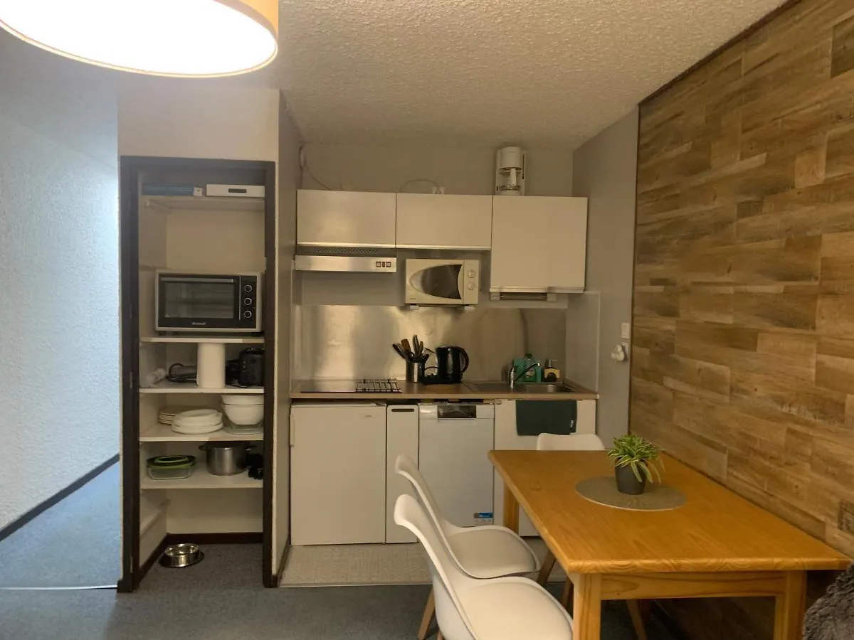 Studio De 32 M2 Pour 3 Personnes Pied Des Pistes Les Deux Alpes Francja
